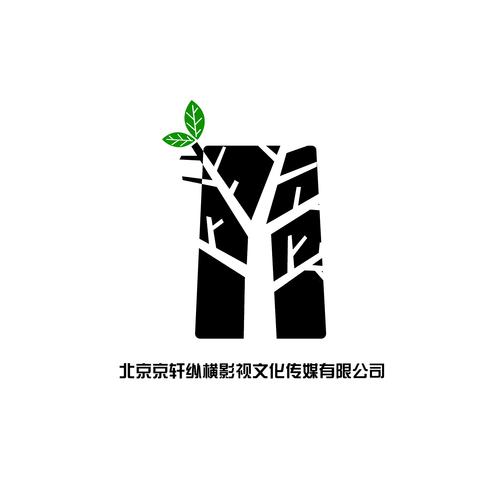 北京京轩纵横影视文化传媒